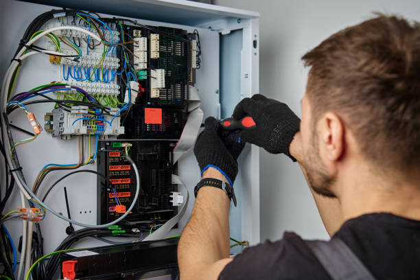 Licensed Electrical Panel Upgrade service in Reed City, MI - No Joke electrician